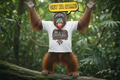 Outlaw Exotics Orangutan Get Ya Some